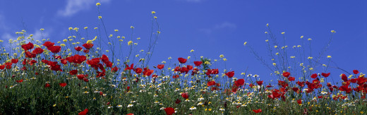 436847 (a): :3840x1200